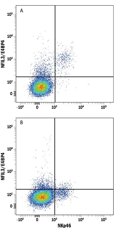 Detection of NFIL3/E4BP4 antibody in Mouse Splenocytes antibody by Flow Cytometry.