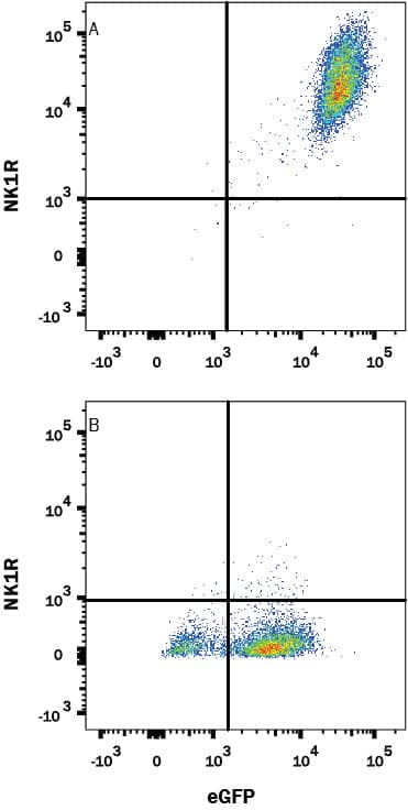 Detection of NK1R antibody in HEK293 Human Cell Line Transfected with Human NK1R and eGFP antibody by Flow Cytometry