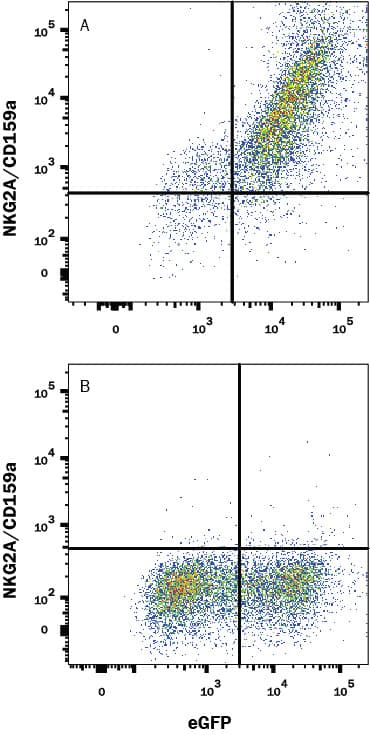 Detection of NKG2A/CD159a antibody in HEK293 Human Cell Line Transfected with Human NKG2A/CD159a and eGFP antibody by Flow Cytometry.