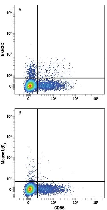 Detection of NKG2C/CD159c antibody in Human PBMC lymphocytes antibody by Flow Cytometry.