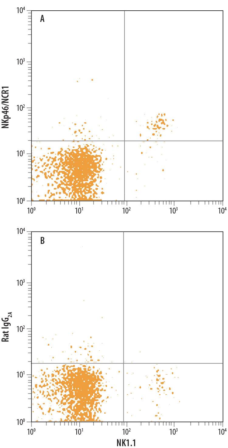 Detection of NKp46/NCR1 antibody in Mouse Splenocytes antibody by Flow Cytometry.
