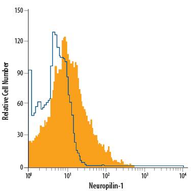 Detection of Neuropilin-1 antibody in PC-12 Rat Cell Line antibody by Flow Cytometry.