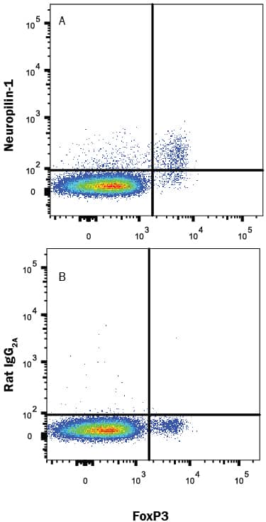 Detection of Neuropilin-1 antibody in Mouse CD4+Splenocytes antibody by Flow Cytometry.