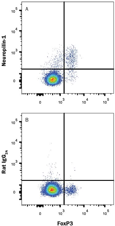 Detection of Neuropilin-1 antibody in Mouse CD4+Splenocytes antibody by Flow Cytometry.