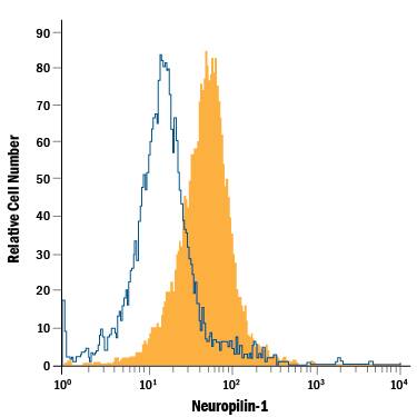 Detection of Neuropilin-1 antibody in bEnd.3 Mouse Cell Line antibody by Flow Cytometry.