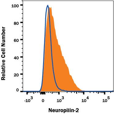 Detection of Neuropilin-2 antibody in C6 Rat Cell Line antibody by Flow Cytometry.