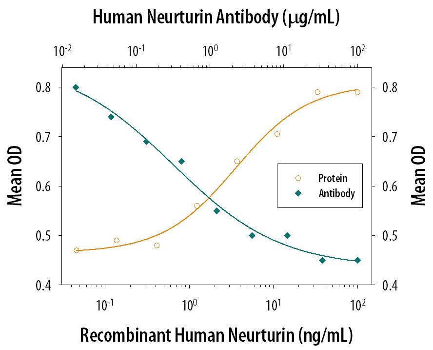 Neuron Survival antibody in Response to Neurturin and Neutralization by Human Neurturin Antibody.