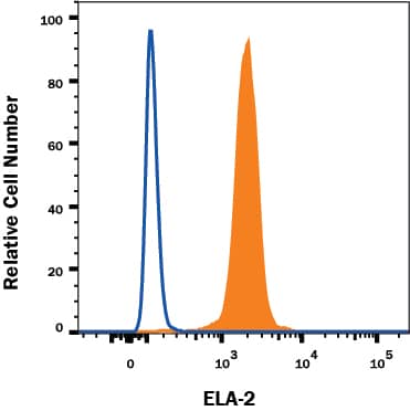 Detection of Neutrophil Elastase/ELA2 antibody in THP-1 Human Cell Line antibody by Flow Cytometry.