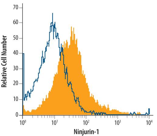 Detection of Ninjurin-1 antibody in HepG2 Human Cell Line antibody by Flow Cytometry.