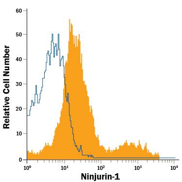 Detection of Ninjurin-1 antibody in HepG2 Human Cell Line antibody by Flow Cytometry.
