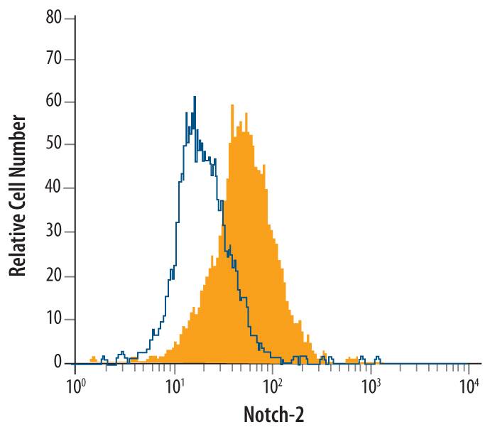 Detection of Notch-2 antibody in C2C12 Mouse Cell Line antibody by Flow Cytometry.