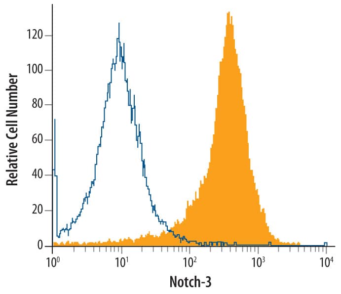 Detection of Notch-3 antibody in BG01V Human Stem Cells antibody by Flow Cytometry.