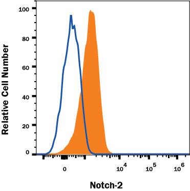 Detection of Notch-2 antibody in Raji Human Cell Line antibody by Flow Cytometry.