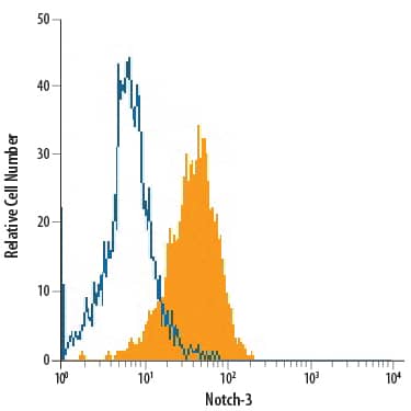 Detection of Notch-3 antibody in BG01V Human Stem Cells antibody by Flow Cytometry.