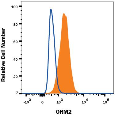 Detection of ORM2 antibody in HepG2 Human Cell Line antibody by Flow Cytometry.