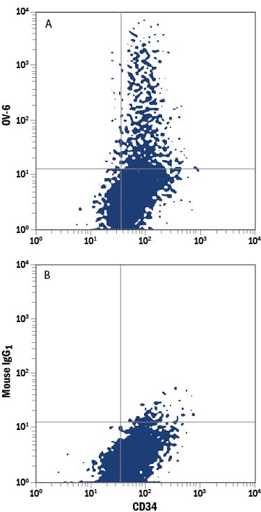 Detection of OV-6 antibody in Huh-7 Human Cell Line antibody by Flow Cytometry.