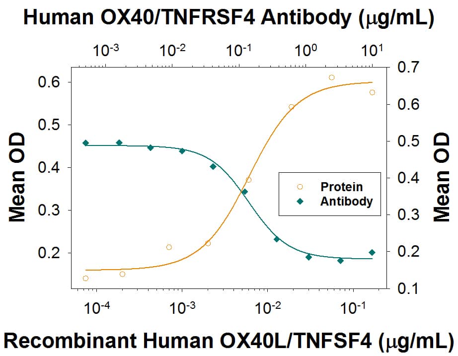 CXCL8/IL-8 Secretion Induced by OX40L/TNFSF4 and Neutralization by Human OX40/TNFRSF4 Antibody.