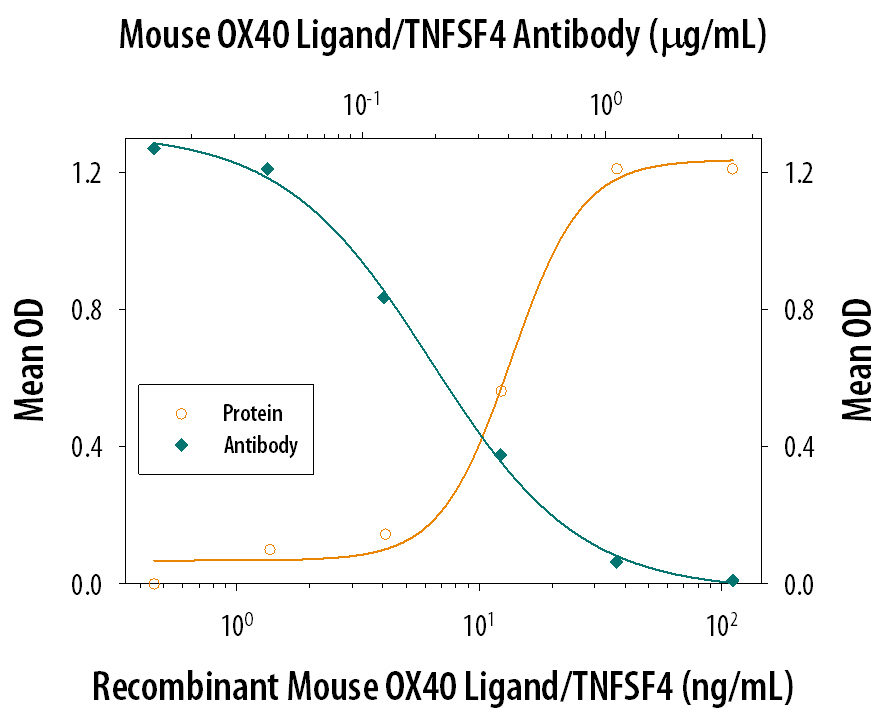 IL-2 Secretion Induced by OX40 Ligand/TNFSF4 and Neutralization by Mouse OX40 Ligand/TNFSF4 Antibody.