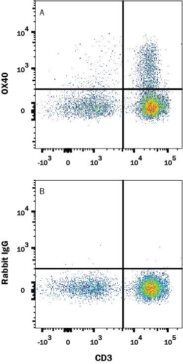 Detection of OX40/TNFRSF4 antibody in Human PBMCs antibody by Flow Cytometry.