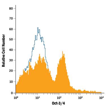 Detection of Oct-3/4 antibody in Mouse Embryonic Stem Cells antibody by Flow Cytometry.
