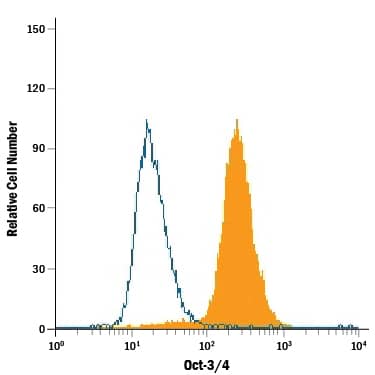 Detection of Oct-3/4 antibody in BG01V Human Cells antibody by Flow Cytometry.