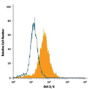 Detection of Oct-3/4 antibody in BG01V Human Cells antibody by Flow Cytometry.