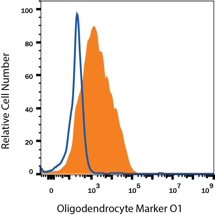 Detection of Oligodendrocyte Marker O1 antibody in Rat Differentiated Cortical Stem Cells antibody by Flow Cytometry.