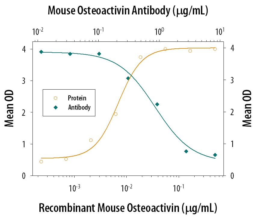 Cell Adhesion Mediated by Osteoactivin/GPNMB and Neutralization by Mouse Osteoactivin/GPNMB Antibody.