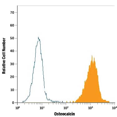 Detection of Osteocalcin antibody in Human Osteoblasts antibody by Flow Cytometry.