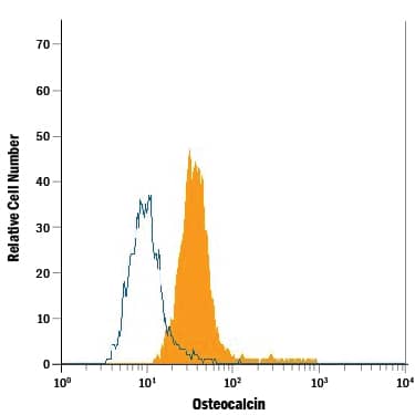 Detection of Osteocalcin antibody in Human Osteoblasts antibody by Flow Cytometry.