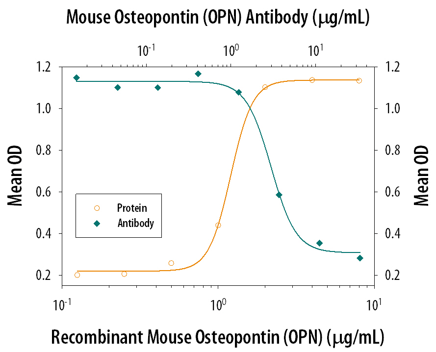 Cell Adhesion Mediated by Osteopontin/OPN and Neutralization by Mouse Osteopontin/OPN Antibody.