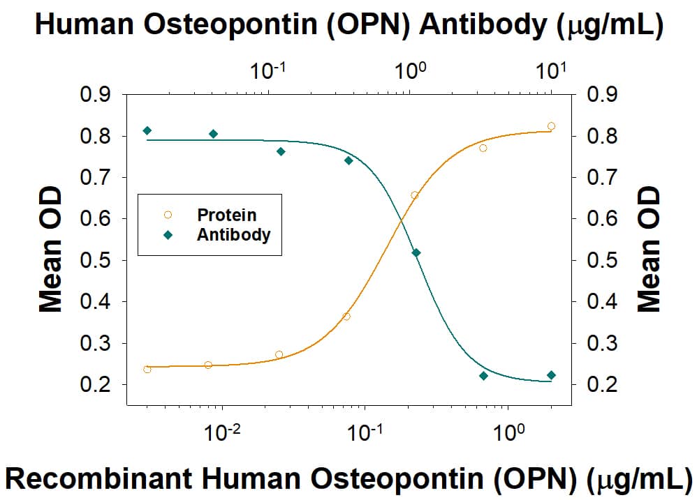 Cell Adhesion Mediated by Osteopontin/OPN and Neutralization by Human Osteopontin/OPN Antibody.