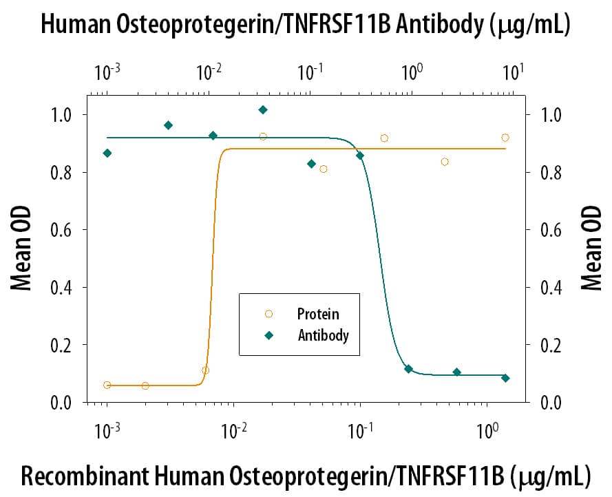 Osteoprotegerin/TNFRSF11B Inhibition of TRAIL/TNFSF10-induced Cytotoxicity and Neutralization by Human Osteoprotegerin/TNFRSF11B Antibody.