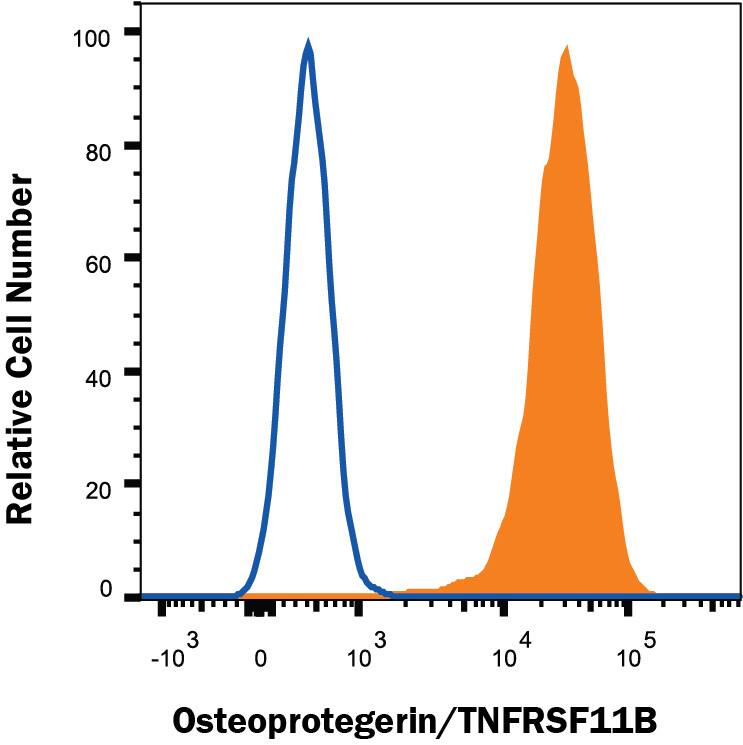 Detection of Osteoprotegerin/TNFRSF11B antibody in HEK293 Human Cell Line Transfected with Human Osteoprotegerin/TNFRSF11B antibody by Flow Cytometry.