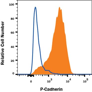 Detection of P-Cadherin antibody in A431 Human Cell Line antibody by Flow Cytometry.