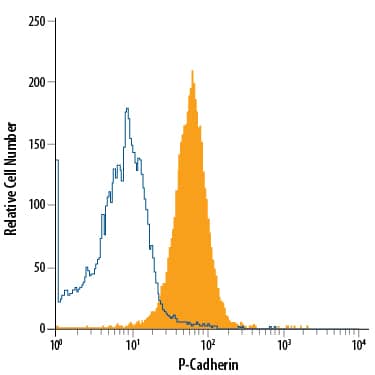 Detection of P-Cadherin antibody in A431 Human Cell Line antibody by Flow Cytometry.