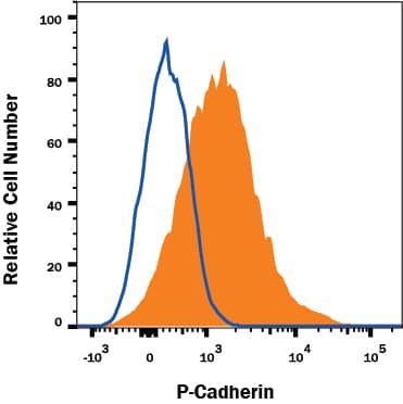 Detection of P-Cadherin antibody in A431 Human Cell Line antibody by Flow Cytometry.