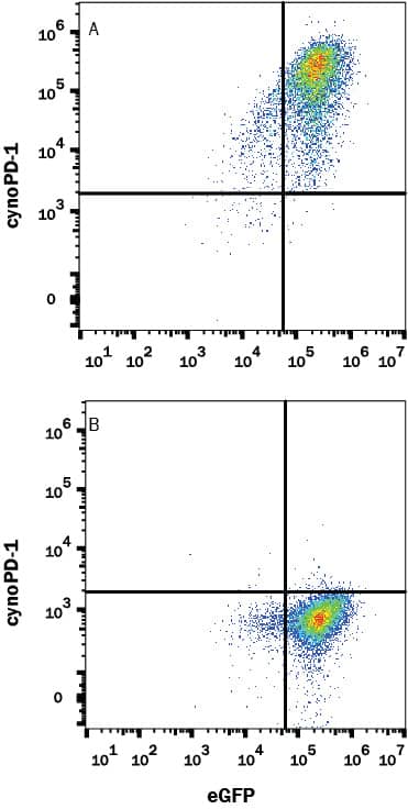 Detection of PD-1 antibody in HEK293 Human Cell Line Transfected with Cynomolgus Monkey PD-1 and eGFP antibody by Flow Cytometry.