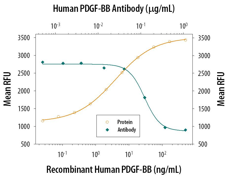 Cell Proliferation Induced by PDGF‑BB and Neutralization by Human PDGF-BB Antibody.