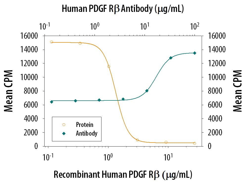 PDGF R beta Inhibition of PDGF-BB-dependent Cell Proliferation and Neutralization by Human PDGF R beta Antibody.