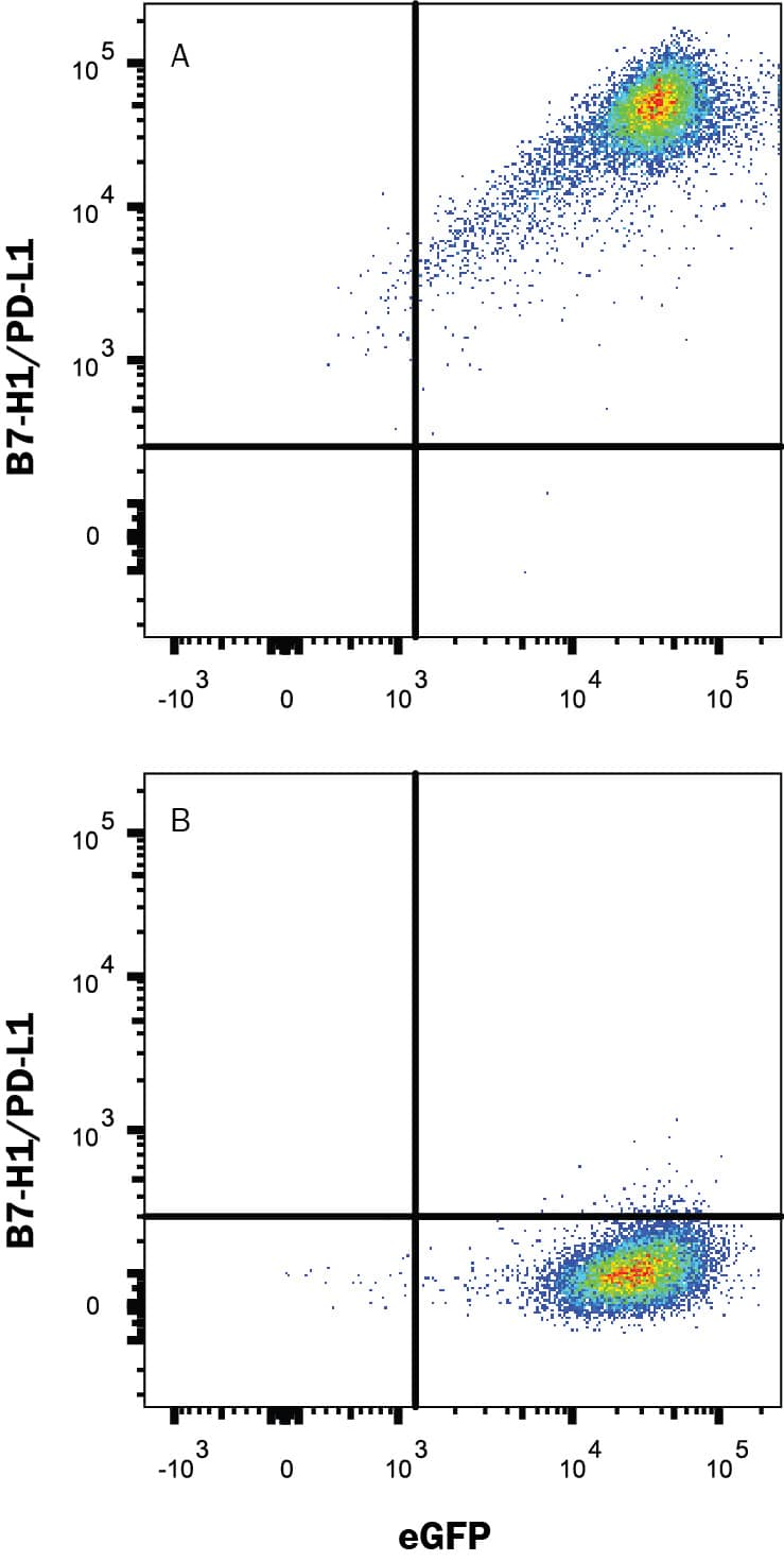 Detection of PD-L1/B7-H1 antibody in HEK293 Human Cell Line Transfected with Mouse PD-L1/B7-H1 and eGFP antibody by Flow Cytometry.