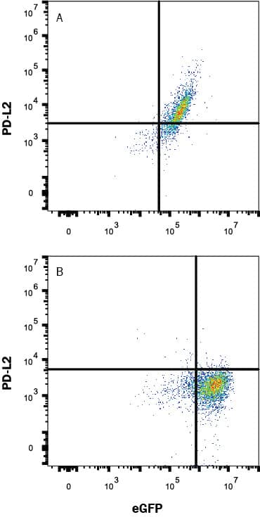 Detection of PD-L2 antibody in HEK293 Human Cell Line Transfected with Human PD-L2 and eGFP antibody by Flow Cytometry.