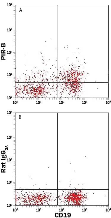 Detection of PIR-B antibody in Mouse Splenocytes antibody by Flow Cytometry.