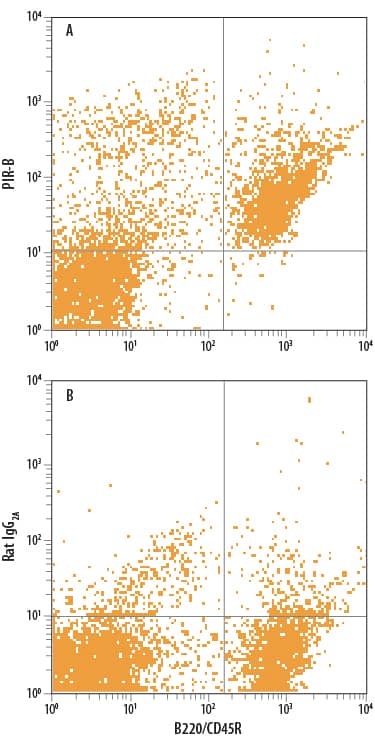 Detection of PIR-B antibody in Mouse Splenocytes antibody by Flow Cytometry.