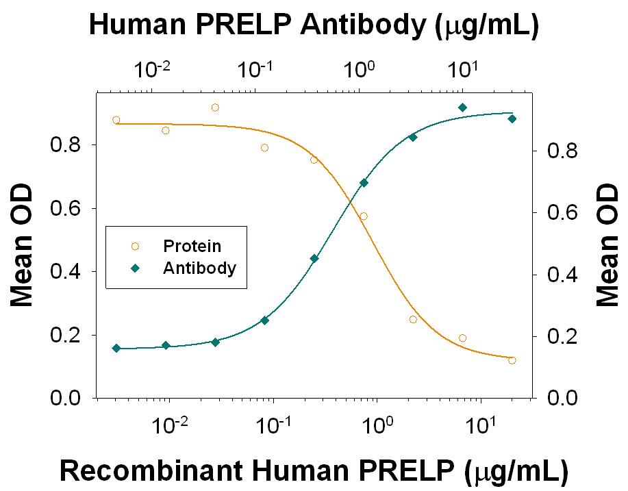 Trance-Induced Osteoclast Differentiation Inhibited by PRELP and Neutralization by Human PRELP Antibody.