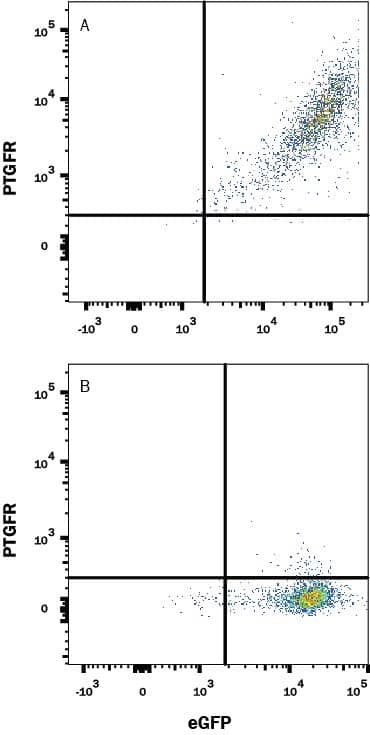 Detection of PTGFR antibody in HEK293 Human Cell Line Transfected with Human PTGFR and eGFP antibody by Flow Cytometry