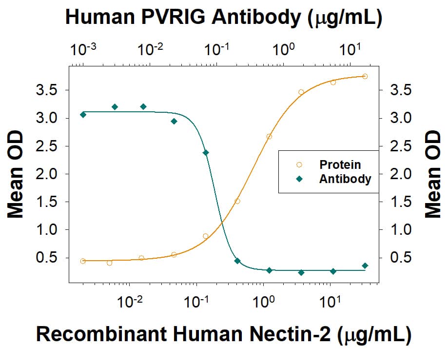 Nectin-2 Binding to PVRIG Blocked by Human PVRIG Antibody.
