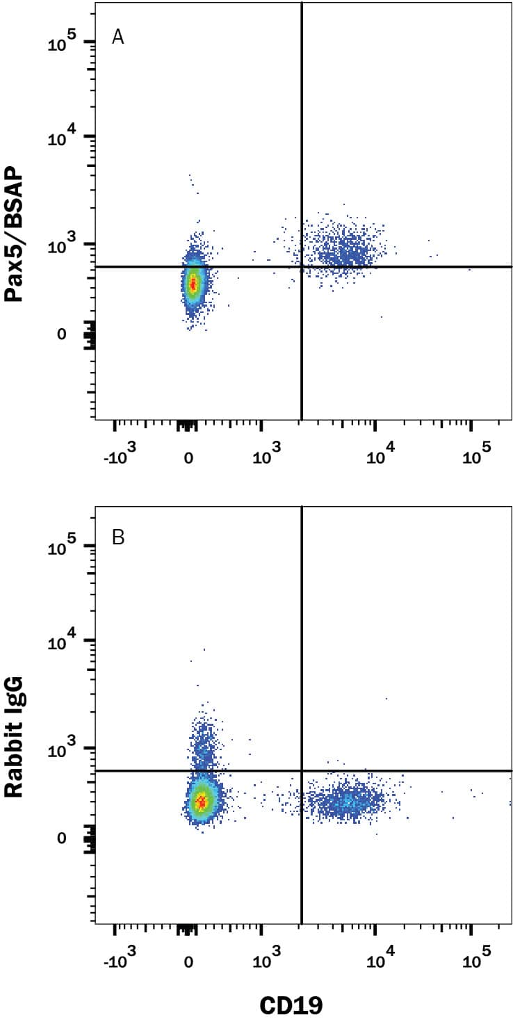 Detection of Pax5/BSAP antibody in Human PBMCs antibody by Flow Cytometry.