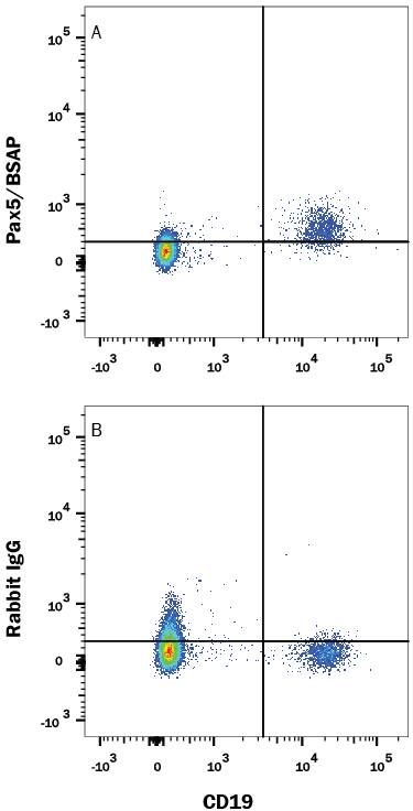 Detection of Pax5/BSAP antibody in Human PBMCs antibody by Flow Cytometry.