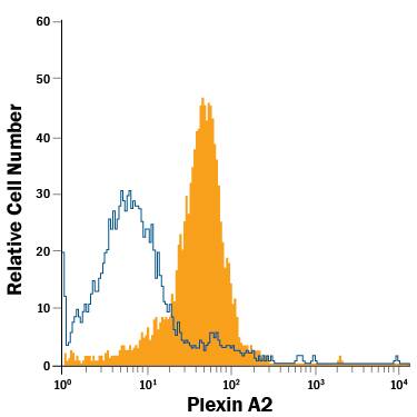 Detection of Plexin A2 antibody in bEnd.3 Mouse Cell Line antibody by Flow Cytometry.